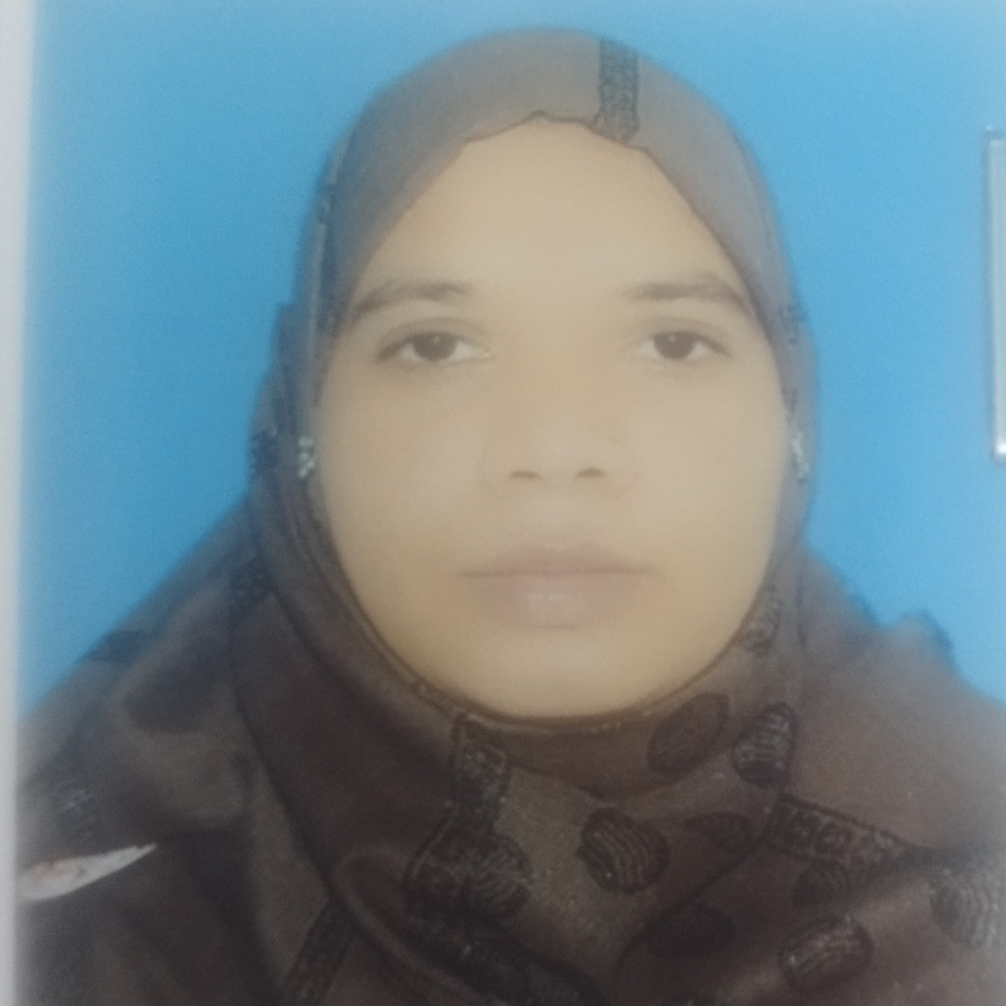 Mostafa Begum